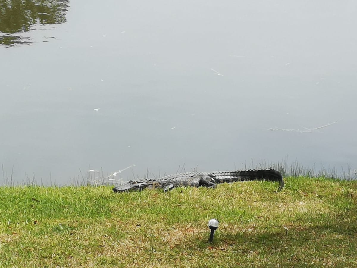 Charleston, South Carolina