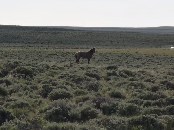 The Great Divide Basin